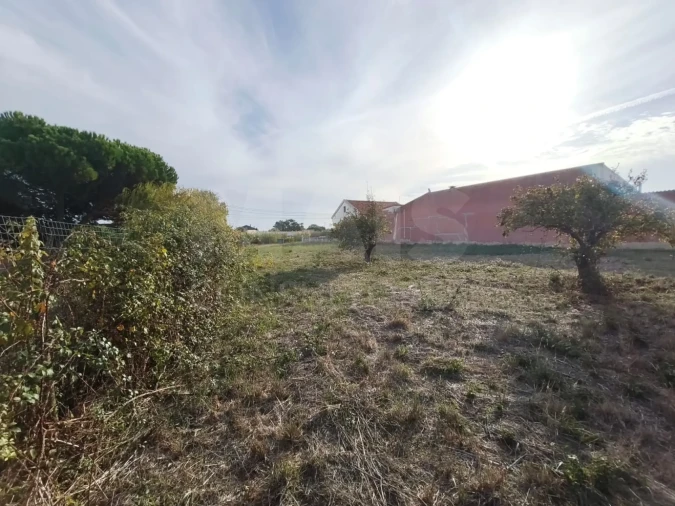 Terreno para Venda em Tornada e Salir do Porto Foto 6