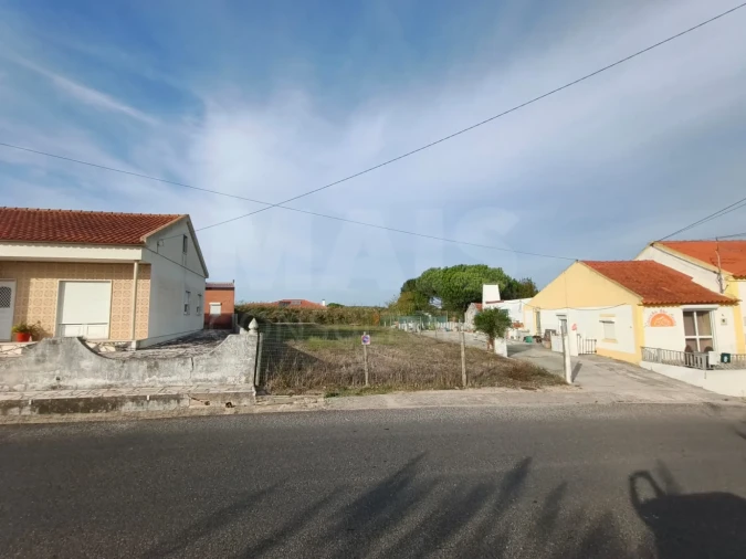 Terreno para Venda em Tornada e Salir do Porto Foto 3