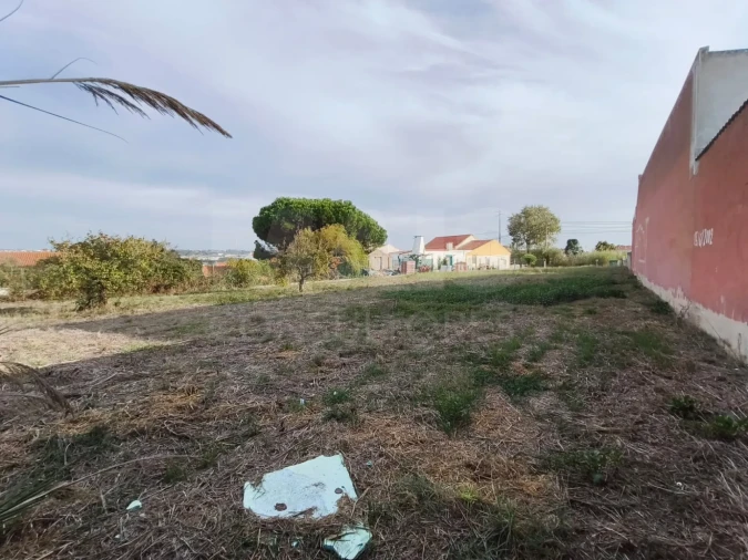 Terreno para Venda em Tornada e Salir do Porto Foto 2