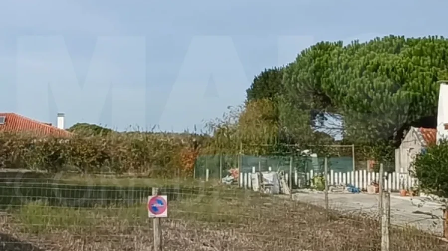 Terreno para Venda em Tornada e Salir do Porto