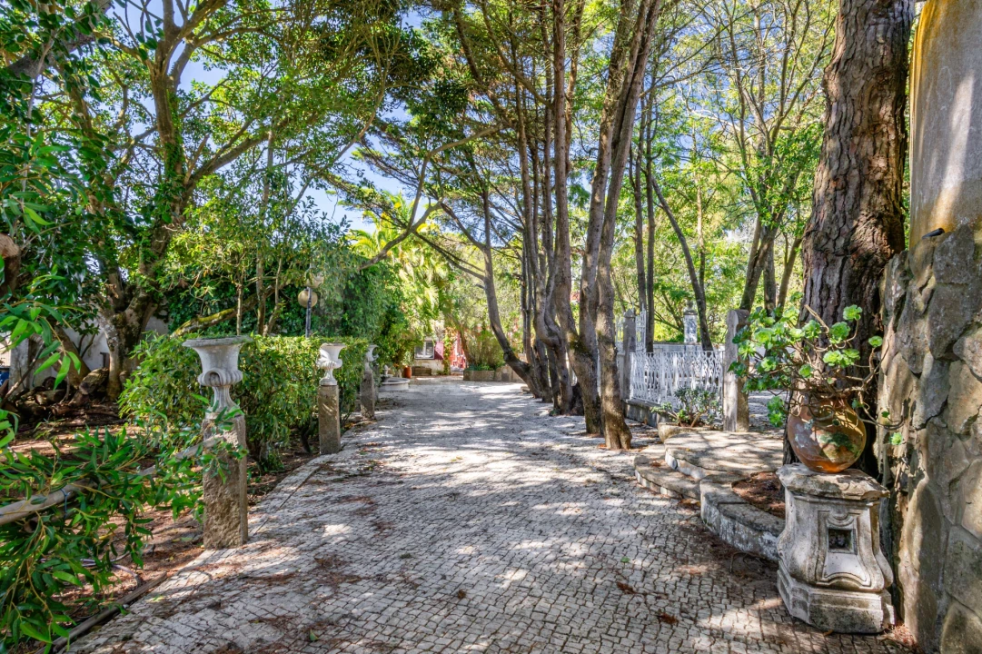 Quinta T5 para Venda em São João das Lampas e Terrugem Foto 2