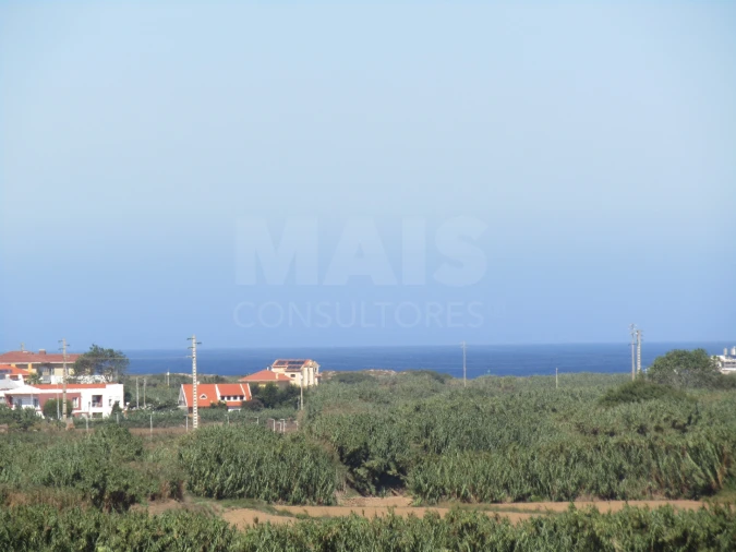Apartamento T4 para Venda em Lourinhã e Atalaia Foto 3