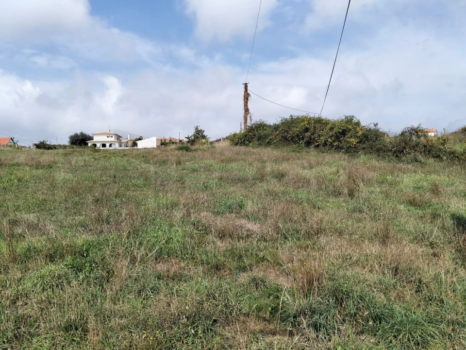 Terreno para Venda em Salreu Foto 7