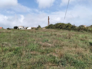 Terreno para Venda em Salreu