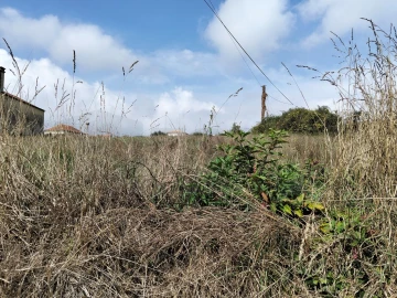 Terreno para Venda em Salreu