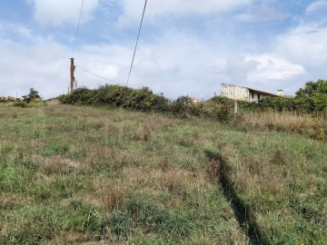 Terreno para Venda em Salreu