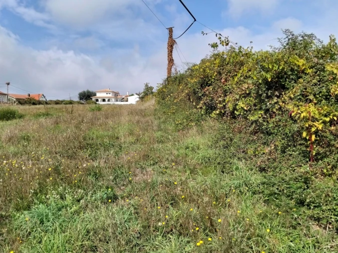 Terreno para Venda em Salreu Foto 12