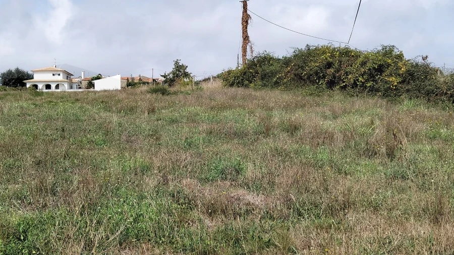 Terreno para Venda em Salreu