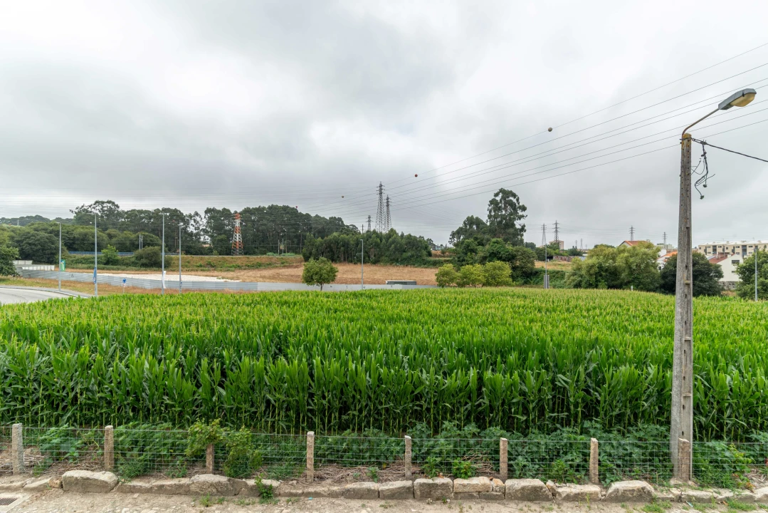 Terreno para Venda em Custoias Foto 6