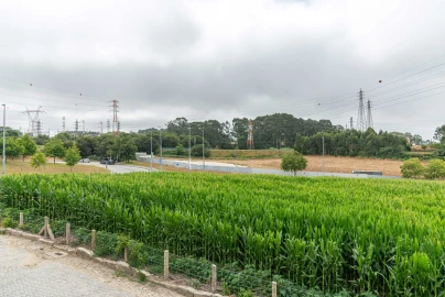Terreno para Venda em Custoias