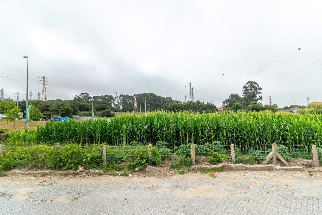 Terreno para Venda em Custoias Foto 3