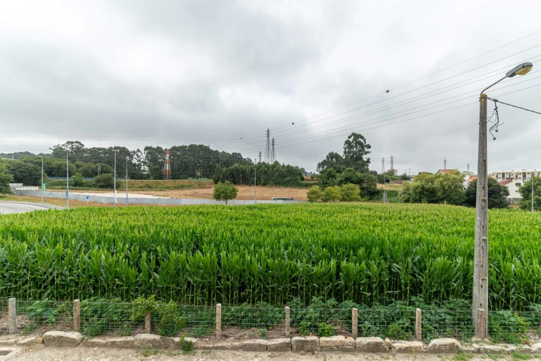 Terreno para Venda em Custoias Foto 6