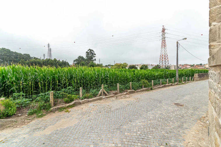 Terreno para Venda em Custoias Foto 2