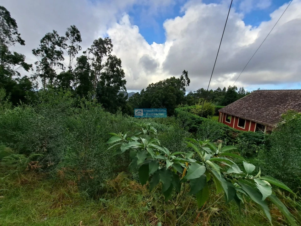 Terreno para Venda em Santo Antonio da Serra Foto 3