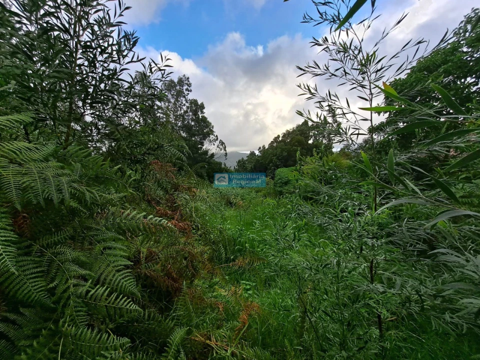 Terreno para Venda em Santo Antonio da Serra Foto 6