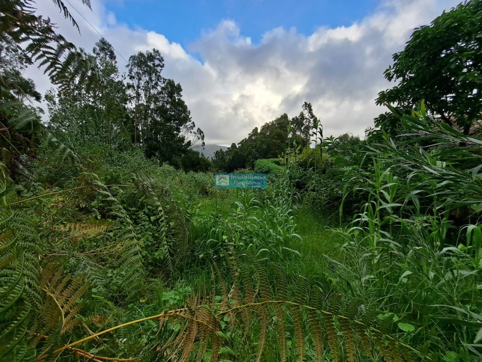 Terreno para Venda em Santo Antonio da Serra Foto 11