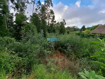 Terreno para Venda em Santo Antonio da Serra