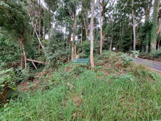 Terreno para Venda em Santo Antonio da Serra Foto 5
