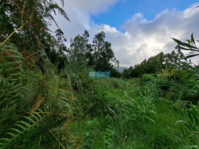 Terreno para Venda em Santo Antonio da Serra Foto 9