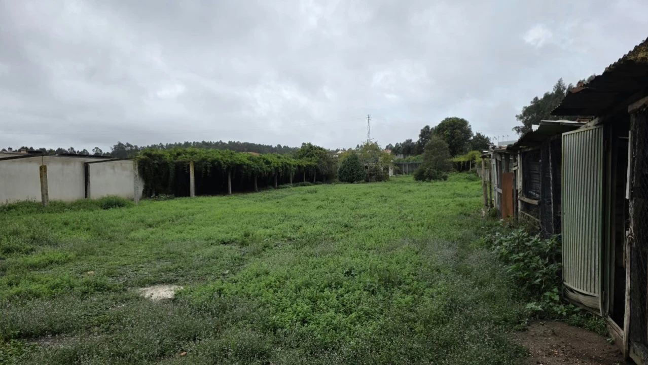 Terreno para Venda em Castêlo da Maia Foto 13