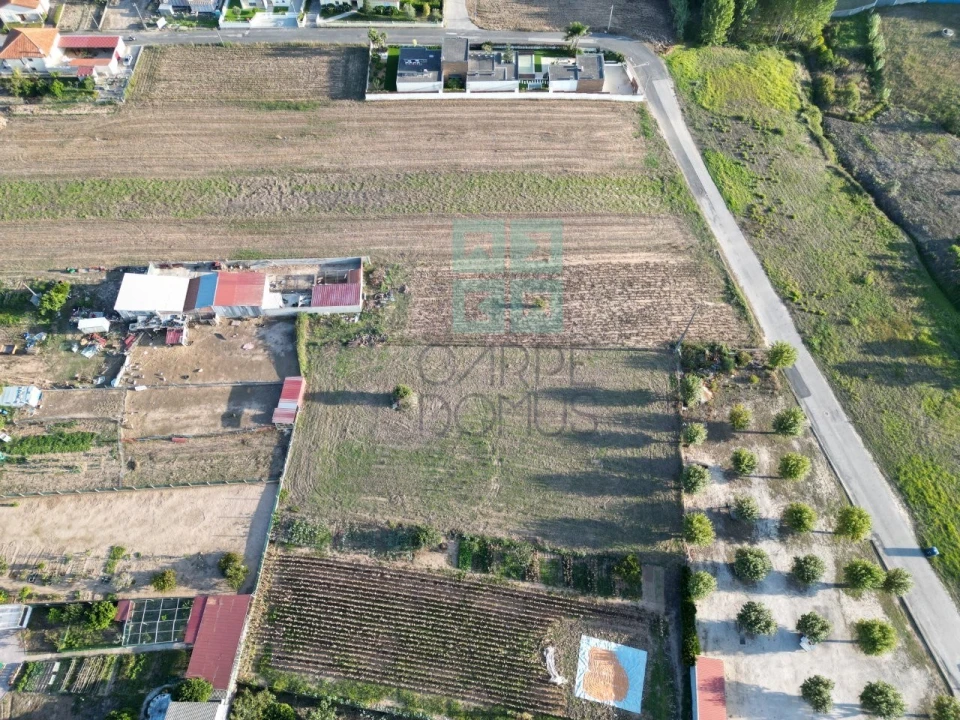 Terreno para Venda em Paião Foto 3