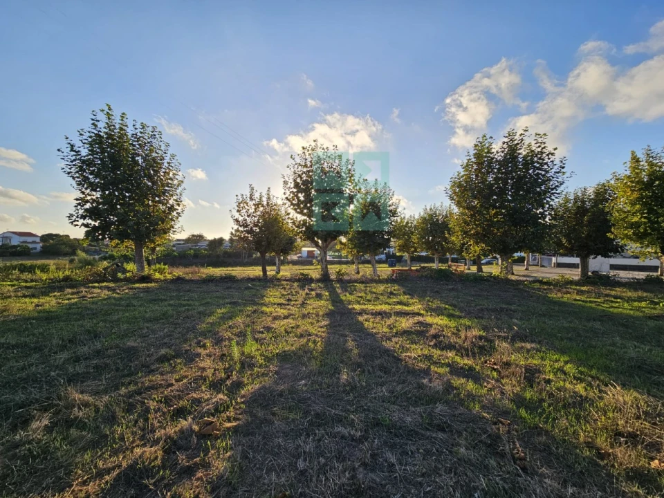Terreno para Venda em Paião Foto 17
