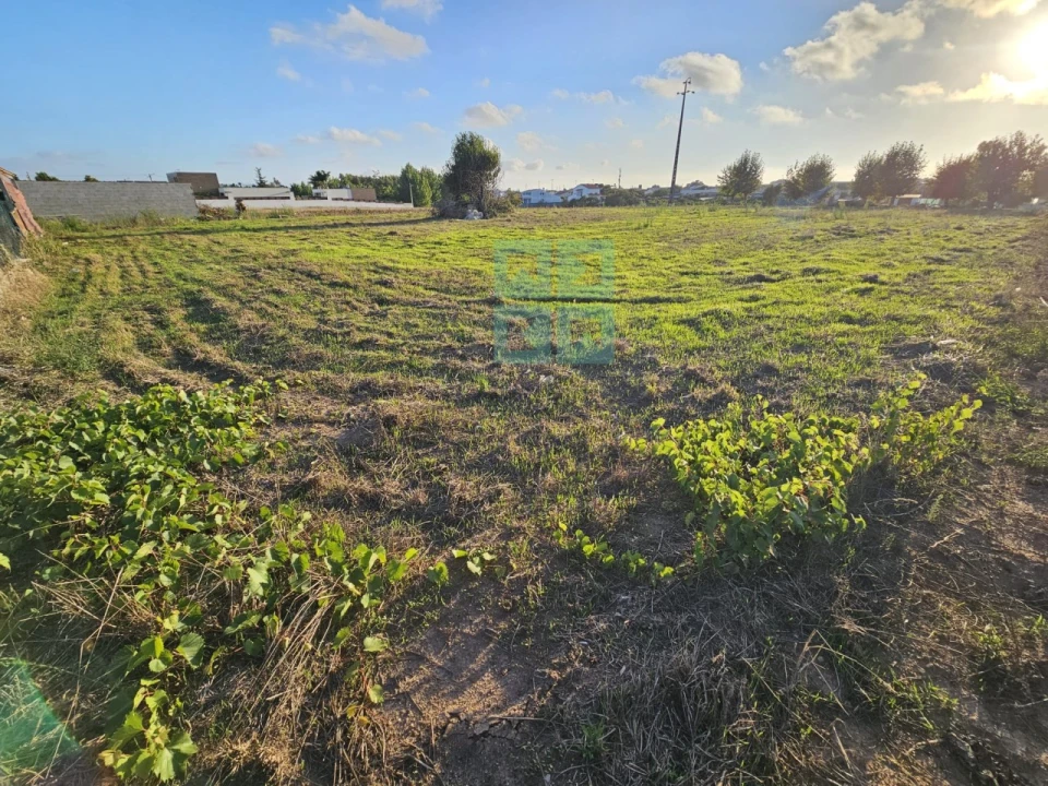 Terreno para Venda em Paião Foto 20