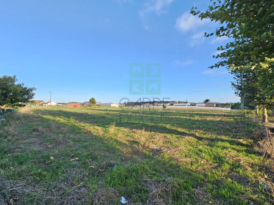 Terreno para Venda em Paião Foto 21