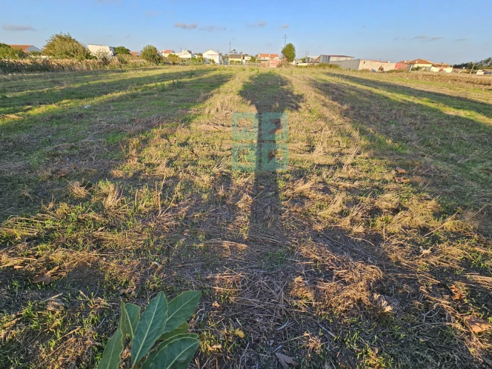 Terreno para Venda em Paião Foto 27