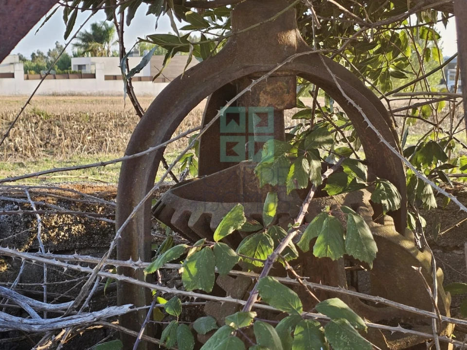 Terreno para Venda em Paião Foto 25