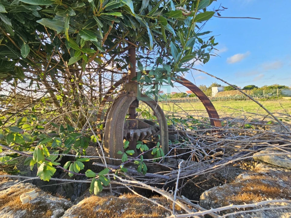 Terreno para Venda em Paião Foto 24