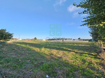 Terreno para Venda em Paião