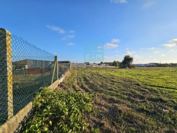 Terreno para Venda em Paião