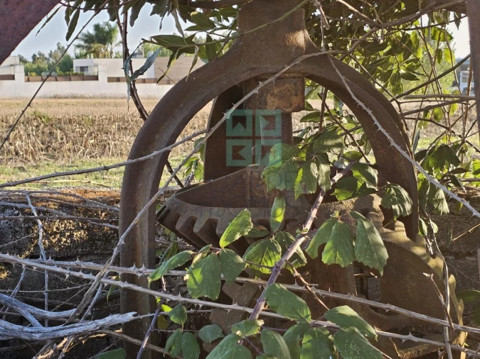 Terreno para Venda em Paião Foto 25