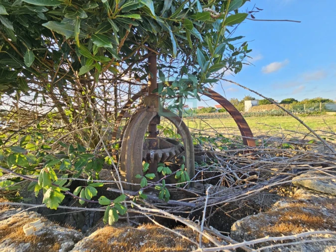 Terreno para Venda em Paião Foto 24