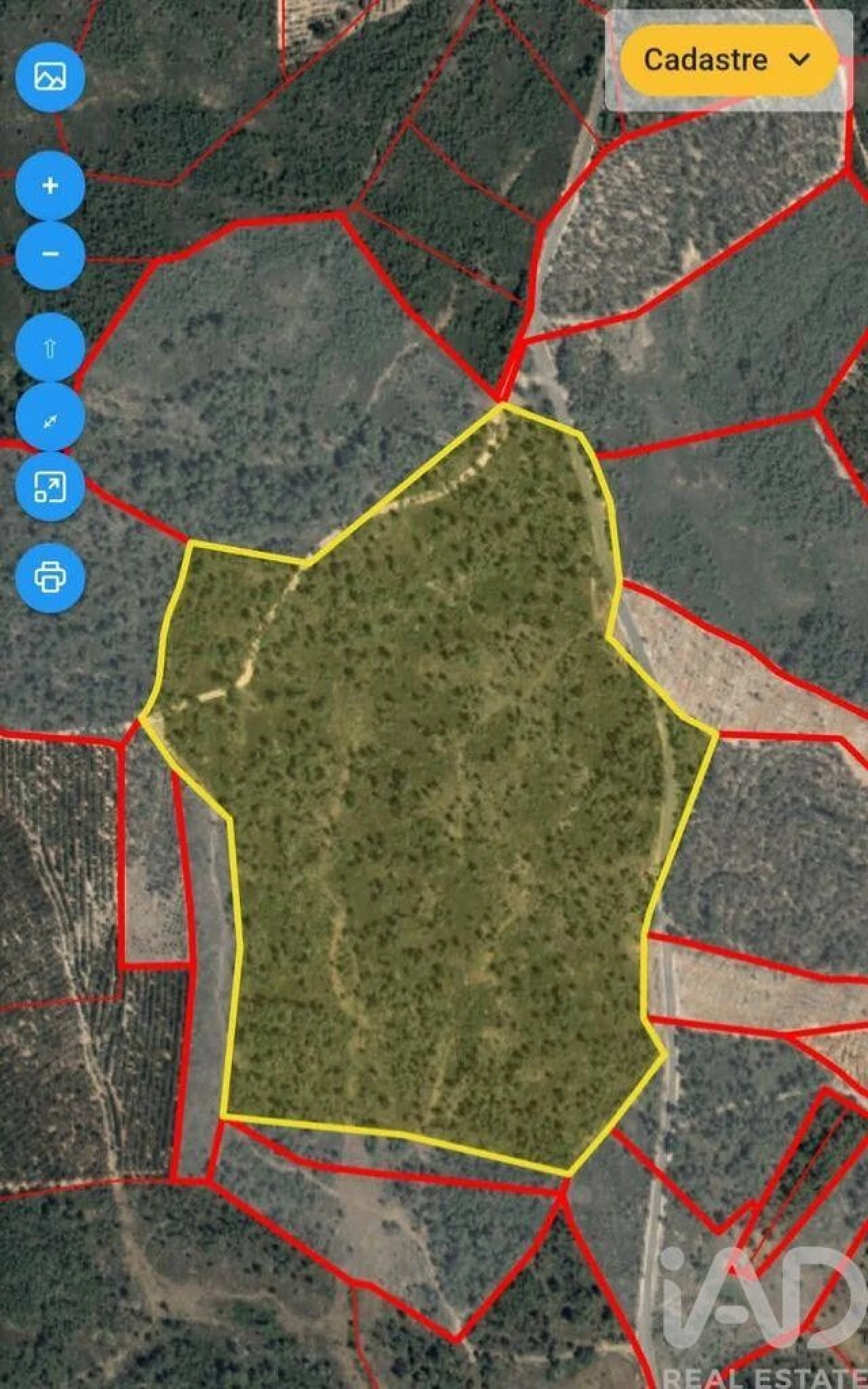 Terreno para Venda em Sarzedas Foto 4
