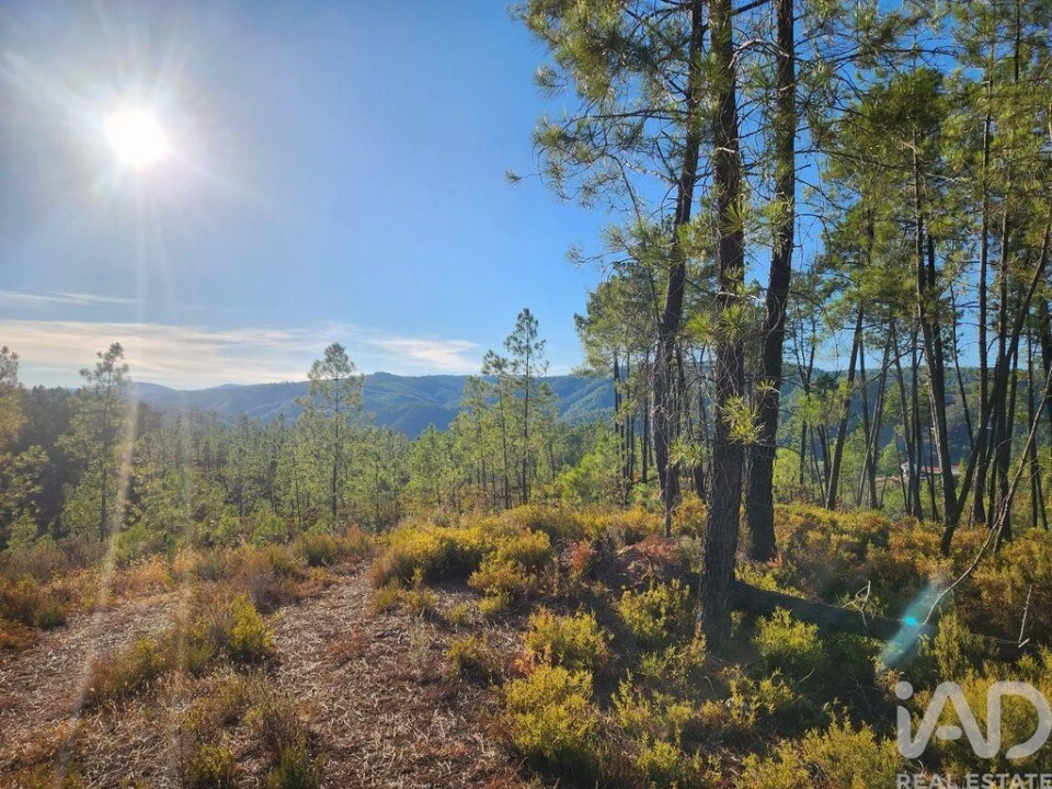 Terreno para Venda em Sarzedas Foto 1