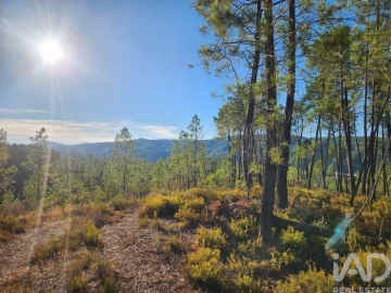 Terreno para Venda em Sarzedas