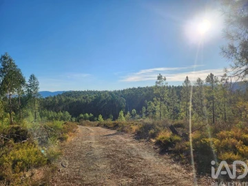 Terreno para Venda em Sarzedas