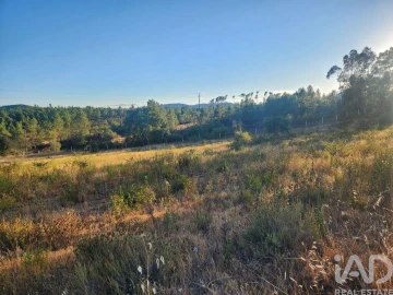 Terreno para Venda em Sarzedas