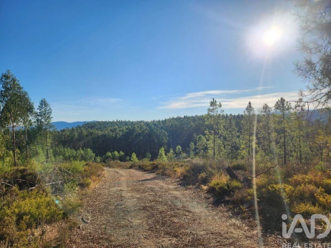 Terreno para Venda em Sarzedas Foto 2