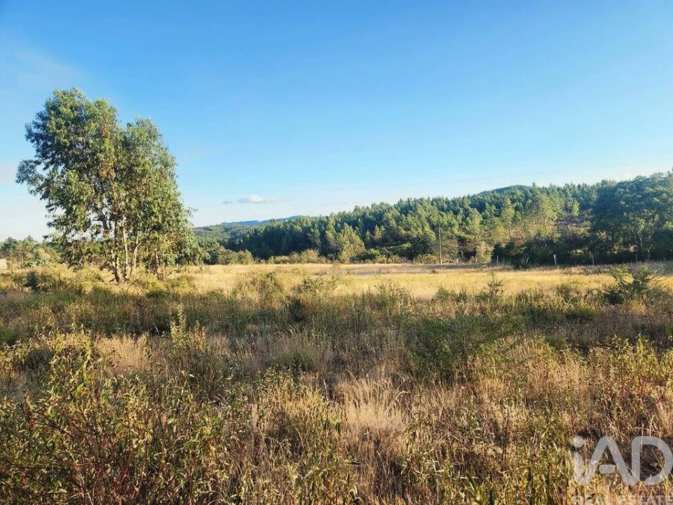 Terreno para Venda em Sarzedas Foto 5