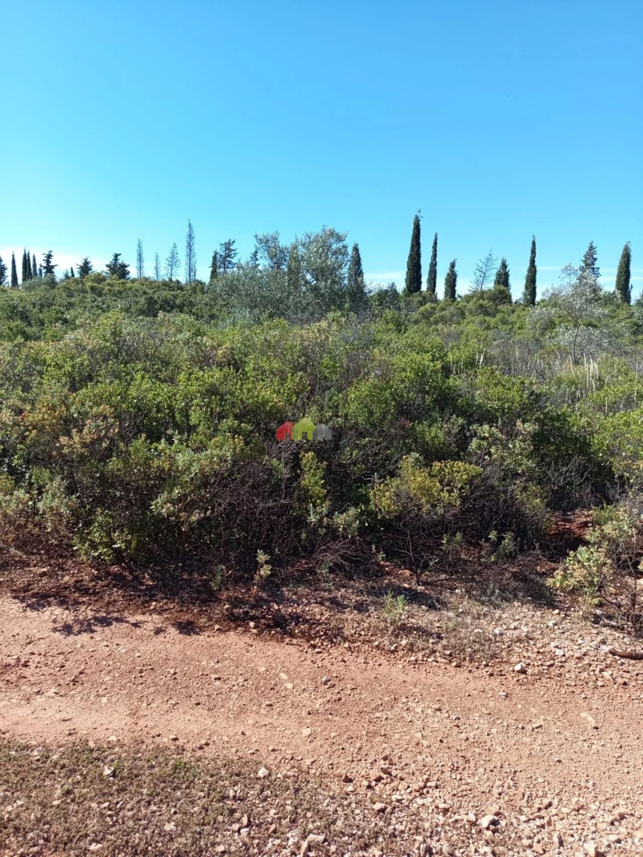 Terreno para Venda em Salir Foto 13