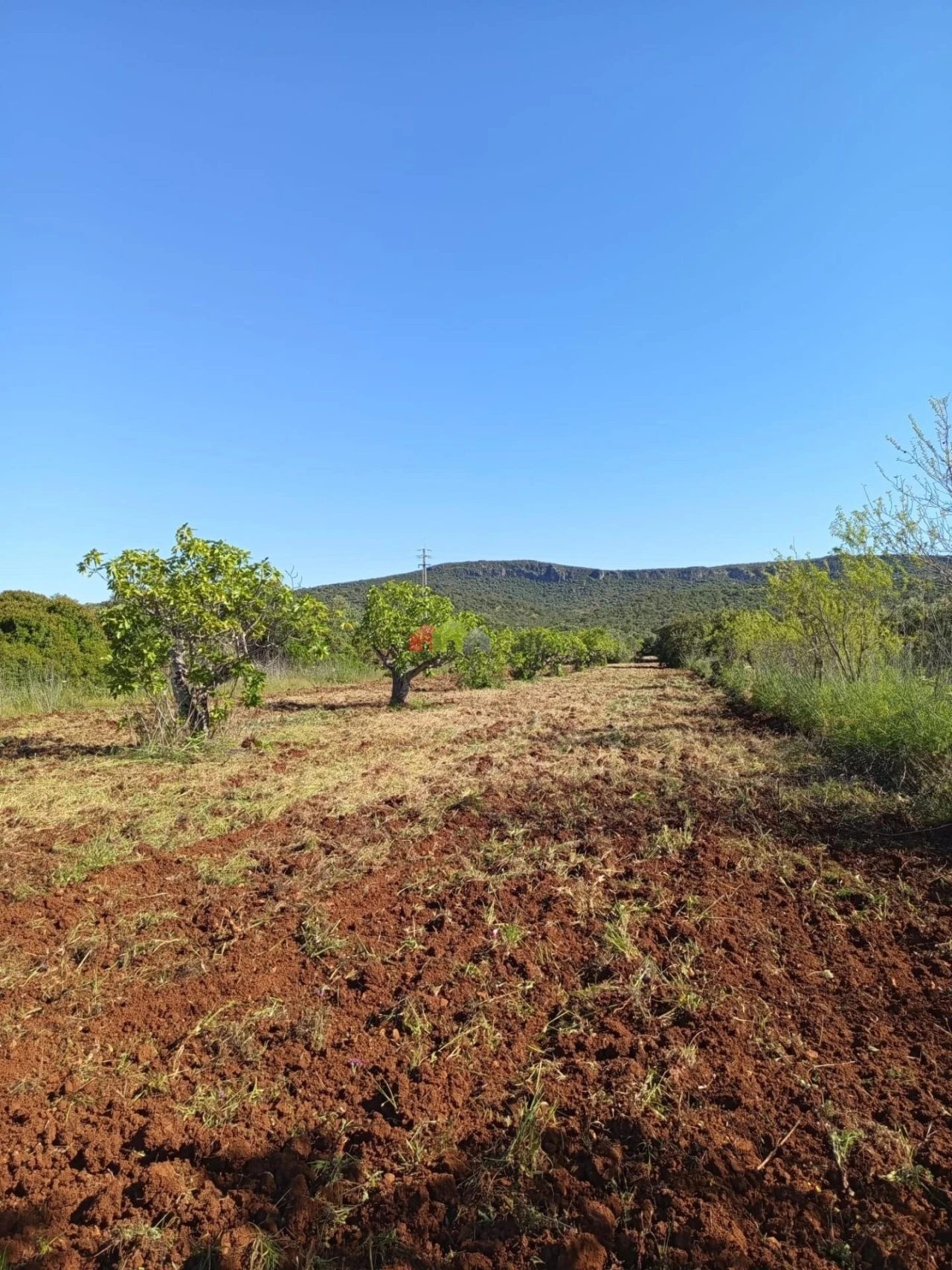 Terreno para Venda em Salir Foto 1
