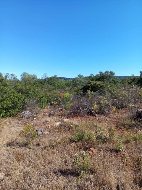 Terreno para Venda em Salir