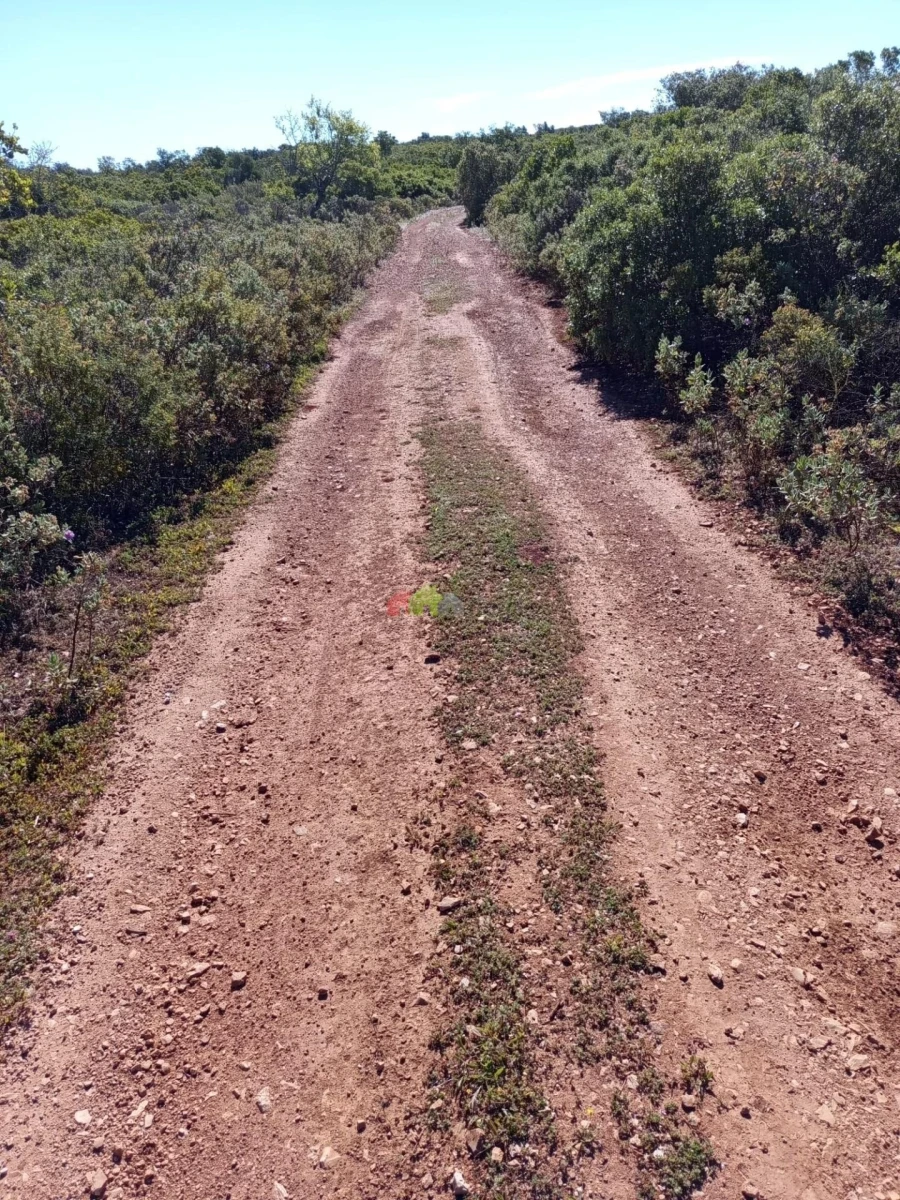 Terreno para Venda em Salir Foto 12