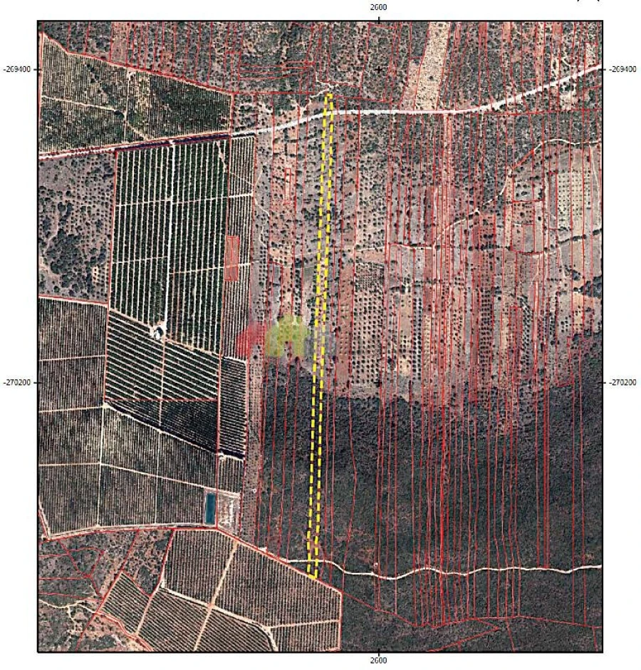 Terreno para Venda em Salir Foto 5