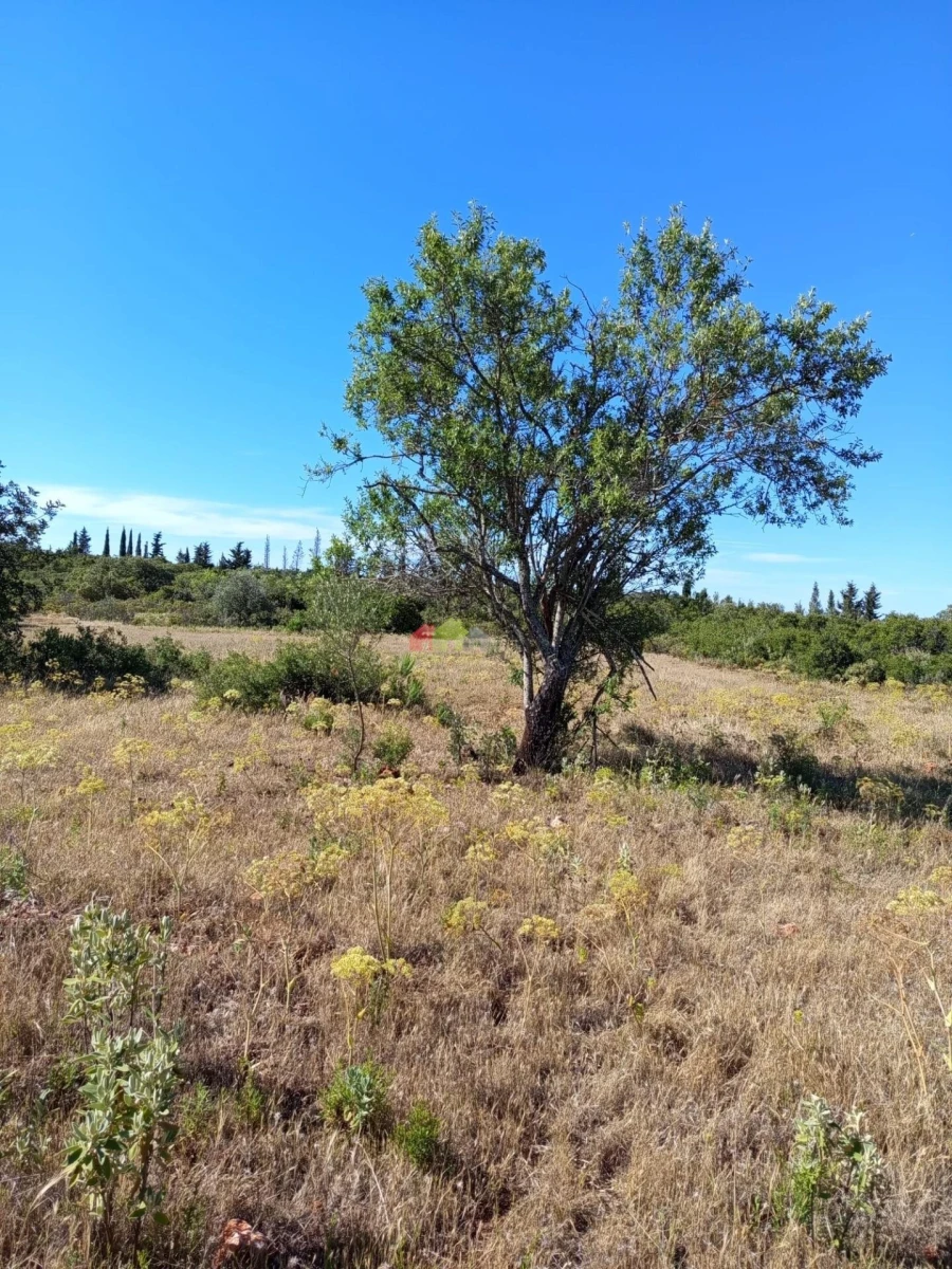 Terreno para Venda em Salir Foto 7