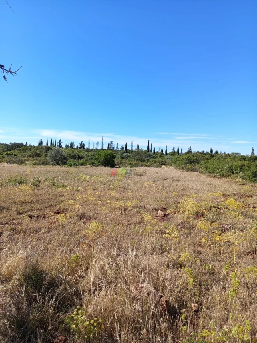 Terreno para Venda em Salir Foto 3