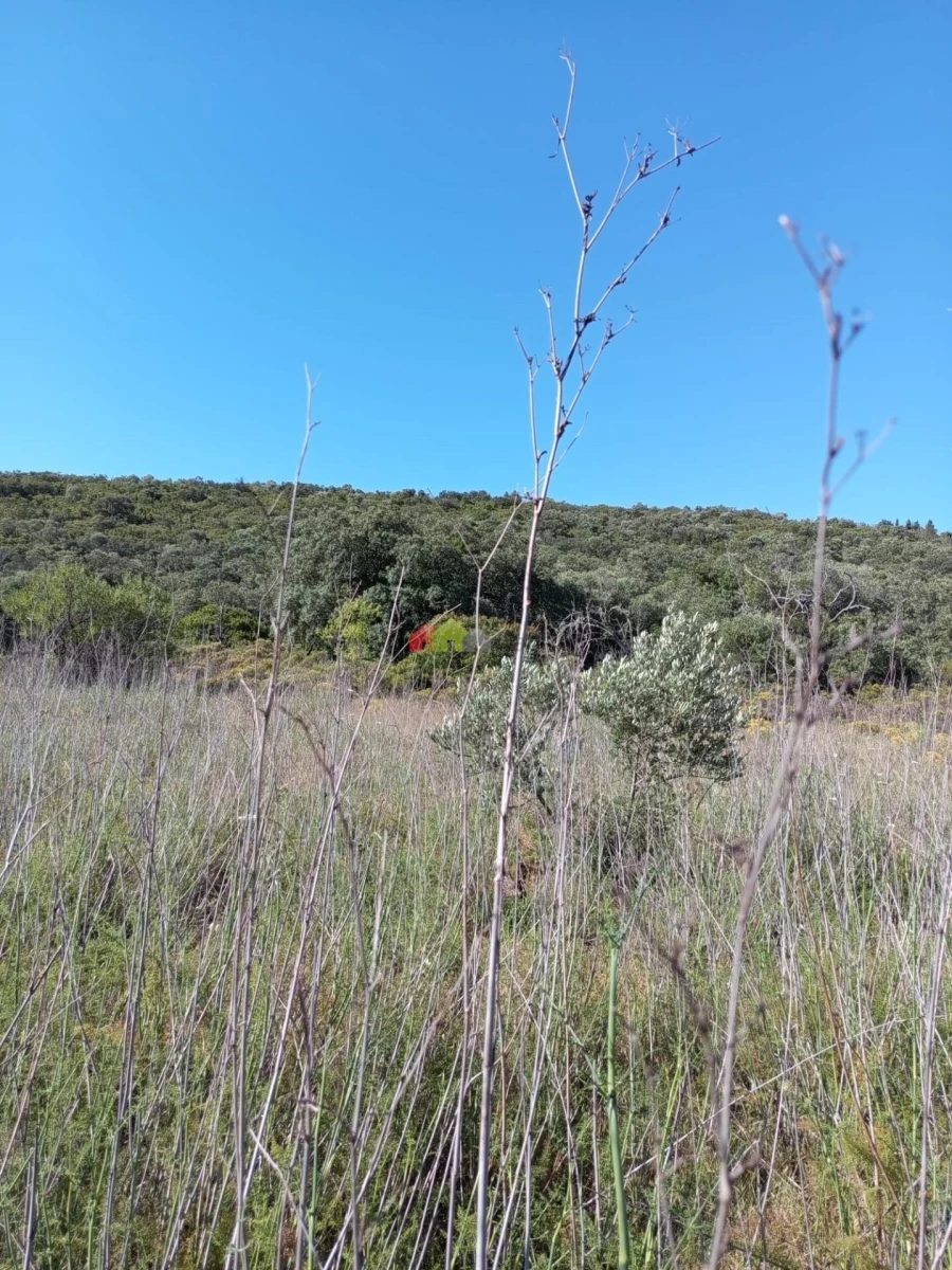Terreno para Venda em Salir Foto 17